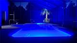 11667 Bluebell Drive - Photo 42