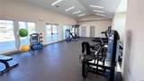 11367 Curio Drive - Photo 17