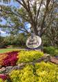 3099 Barton Creek Circle - Photo 45