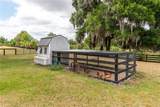 5021 101ST STREET Road - Photo 66