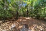 11953 Glenview Avenue - Photo 4
