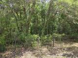 11953 Glenview Avenue - Photo 5