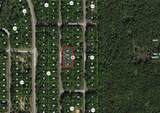 9285 Irondale Road - Photo 2