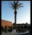 6789 Haki Court - Photo 8