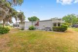 951 Oleander Street - Photo 4