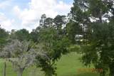 5081 Delacroix Drive - Photo 76