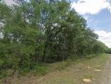 737 Byrd Loop - Photo 1