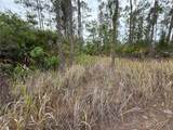 1106 13TH Street - Photo 4