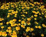 8326 82ND Circle - Photo 40
