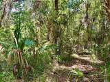  Old Crystal River Road - Photo 2