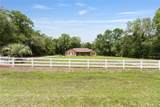 13855 Highway 484 - Photo 54