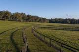 9504 Hwy 320 - Photo 29