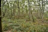  Sweet Gum Road - Photo 11