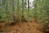  Sweet Gum Road - Photo 12
