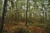  Sweet Gum Road - Photo 14