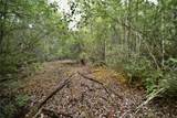  Sweet Gum Road - Photo 15