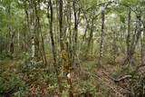  Sweet Gum Road - Photo 19
