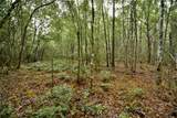  Sweet Gum Road - Photo 21