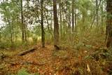  Sweet Gum Road - Photo 23