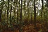  Sweet Gum Road - Photo 24