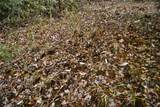  Sweet Gum Road - Photo 27