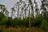  Sweet Gum Road - Photo 29