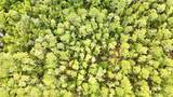  Sweet Gum Road - Photo 3