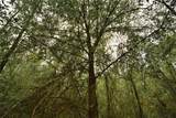  Sweet Gum Road - Photo 30