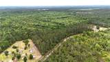  Sweet Gum Road - Photo 32