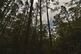  Sweet Gum Road - Photo 34
