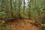  Sweet Gum Road - Photo 4