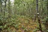  Sweet Gum Road - Photo 5