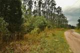  Sweet Gum Road - Photo 6