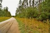  Sweet Gum Road - Photo 7