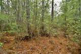  Sweet Gum Road - Photo 8