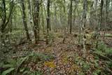  Sweet Gum Road - Photo 9