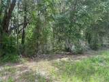  111 Lane - Photo 2