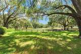 10871 County Road 336 - Photo 50