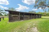 10871 County Road 336 - Photo 56