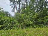 320 Sequoia Drive - Photo 1