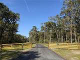 Irvine Acres #5 (13a Hwy 318 - Photo 10
