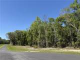 Irvine Acres #5 (13a Hwy 318 - Photo 2