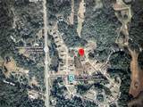 260 Live Oak Loop - Photo 1