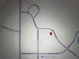 260 Live Oak Loop - Photo 14