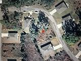 260 Live Oak Loop - Photo 5