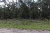 653 Vercelli Lane - Photo 1