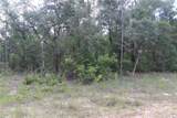 653 Vercelli Lane - Photo 2