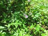 00 142 Place - Photo 11