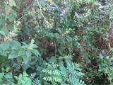 00 142 Place - Photo 3