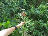 00 142 Place - Photo 7